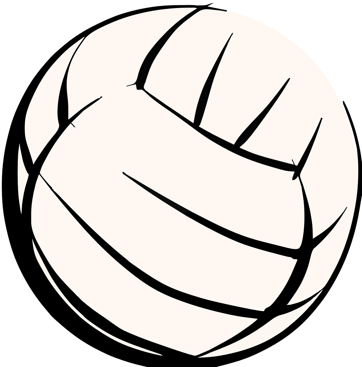 Image of a volleyball
